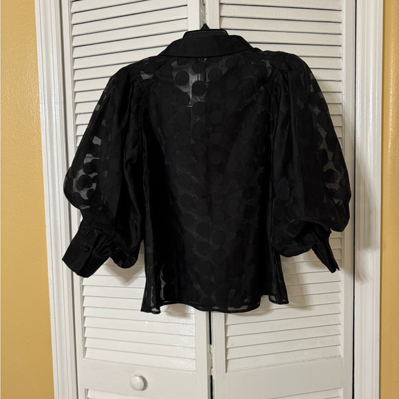 Gracia sheer black blouse with balloon sleeves - Picture 9 of 12